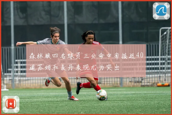森林狼四名球员三分命中率接近40道苏姆和麦丹表现尤为突出